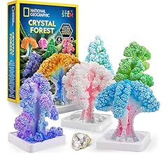 NATIONAL GEOGRAPHIC Craft Kits for Kids - Crystal Growing Kit, Grow 6 Crystal Trees in Just 6 Hours, Educational Craft Kit …