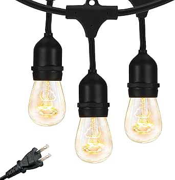 Brightech Ambience Pro Outdoor String Lights - Commercial Grade Waterproof Patio Lights with 48 Ft Dimmable Incandescent Edison Bulbs, Porch String Lights for Patio, Backyard - 15 Bulbs 11W