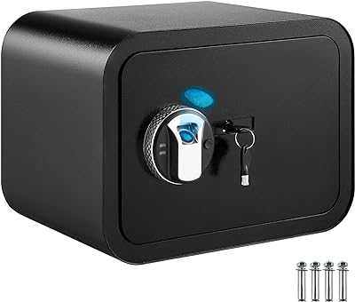 VEVOR Safe Box, 1 Cubic Foot Money Safe with Fingerprint Lock and Key Lock, Alloy Steel Home Safes with 2 Keys, Wall-Mounted Security Safe for Cash, Watch, Jewelry, Passports, Documents (Black)