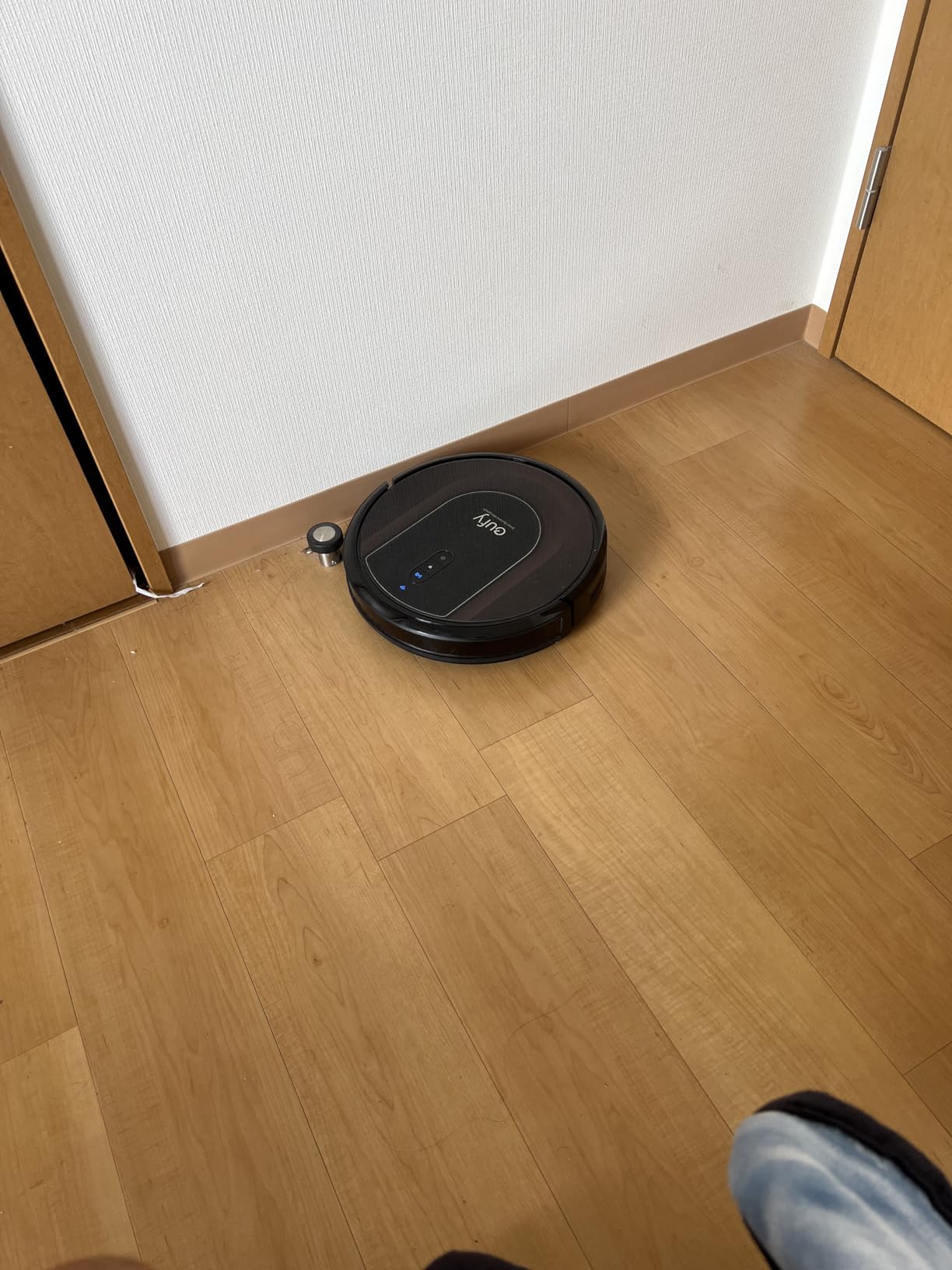 Easy to use robot cleaner