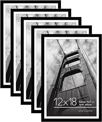 Americanflat 12x18 Poster Frame with Polished Plexiglass - Set of 5 - Use as 11x17 Frame with Mat or 12x18 Frame Without Mat - Galleria Collection - Gallery Wall Frame Set for Wall Display - Black