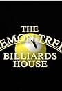 Lemon Tree Billiards House (1996)