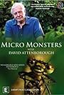 Micro Monsters 3D (2013)