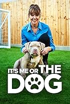 It's Me or the Dog (2008)