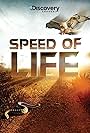 Speed of Life (2010)