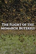 The Flight of the Monarch Butterfly (2021)