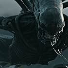 Goran D. Kleut in Alien: Covenant (2017)