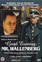 Stellan Skarsgård in God afton, herr Wallenberg (1990)
