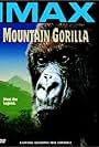 Mountain Gorilla (1992)