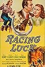 David Bruce, Gloria Henry, and Paula Raymond in Racing Luck (1948)