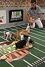 Dan Schachner in Puppy Bowl VIII (2012)