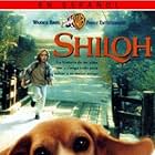 Shiloh (1996)