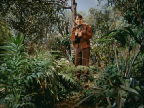 Emmet Burke in Land of the Giants (1968)