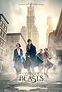 Fantastic Beasts and Where to Find Them