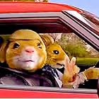 NEW HAMSTER KIA COMMERCIAL. YUP THAT'S ME FLASHING THE PEACE SIGN.
