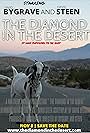 The Diamond in the Desert (2015)