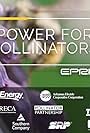 Power for Pollinators (2020)