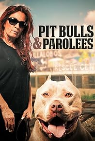 Primary photo for Pit Bulls and Parolees