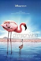 The Crimson Wing: Mystery of the Flamingos (2008)