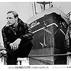 Marlon Brando in On the Waterfront (1954)