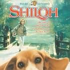 Shiloh (1996)