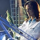 Eva LaRue in CSI: Miami (2002)