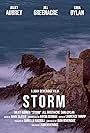 Storm (2010)