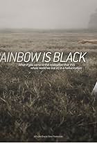 The Rainbow Is Black