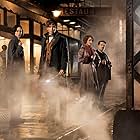 Dan Fogler, Alison Sudol, Eddie Redmayne, and Katherine Waterston in Fantastic Beasts and Where to Find Them (2016)