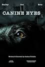 Canine Eyes (2021)