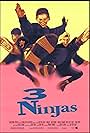 3 Ninjas (1992)