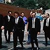 Steve Buscemi, Harvey Keitel, Quentin Tarantino, Michael Madsen, Tim Roth, Chris Penn, Edward Bunker, and Lawrence Tierney in Reservoir Dogs (1992)