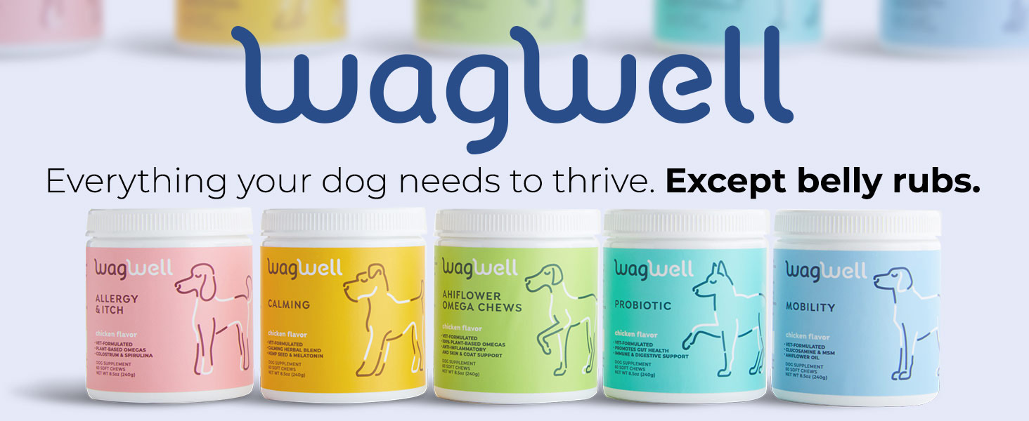 everything your dog needs to thrive