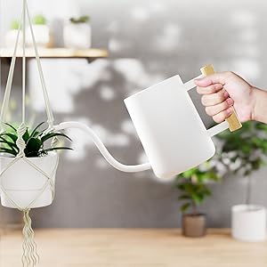 watering cans indoor watering can stainless steel watering can bonsai regadera para plantas