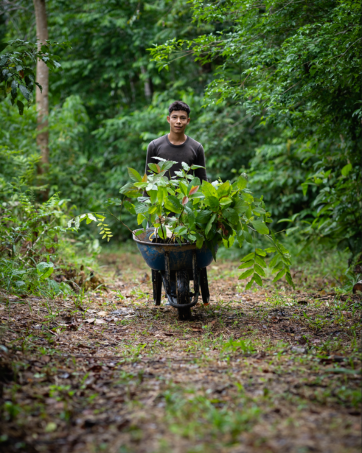 One Tree Planted