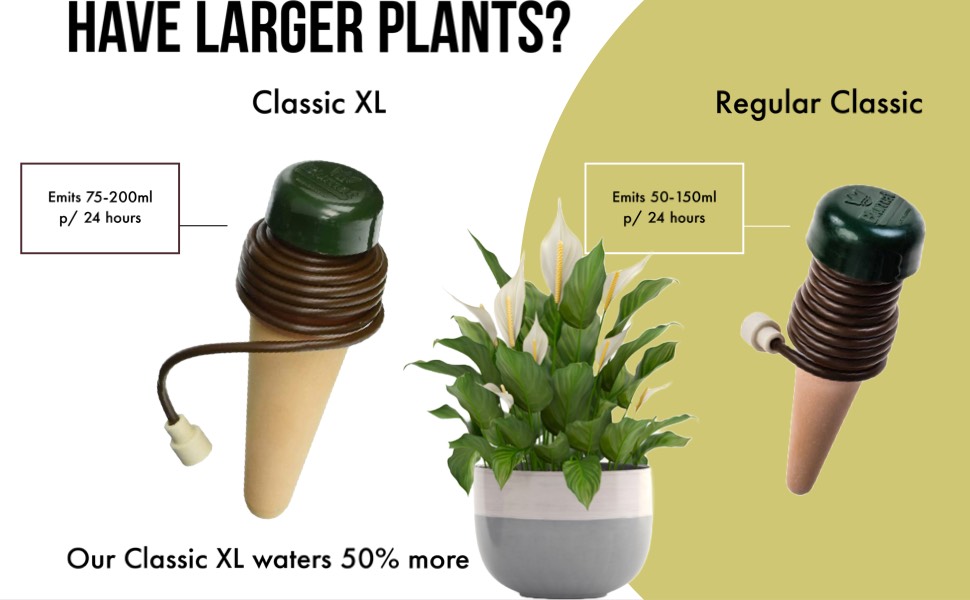 Classic XL Infographic