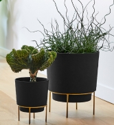 Hopson 10-inch and 6-inch planter in black color with gold metal stand