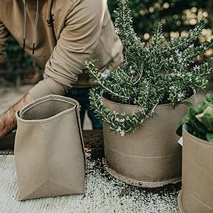 Cover crop fabric pots 