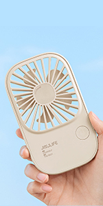 lash fan