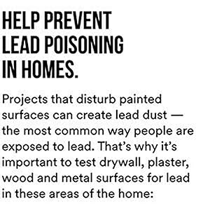 prevent lead poisoning