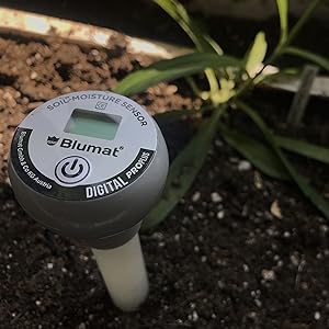 Digital Moisture Meter Soil Reading