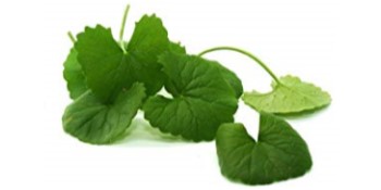 centella