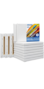5X7 INCH small stretched canvases valued 12 pack