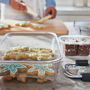 Entertain, bring treats to parties, and serve in crystal-clear containers.