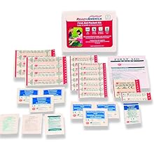 33 Piece First Aid Kit