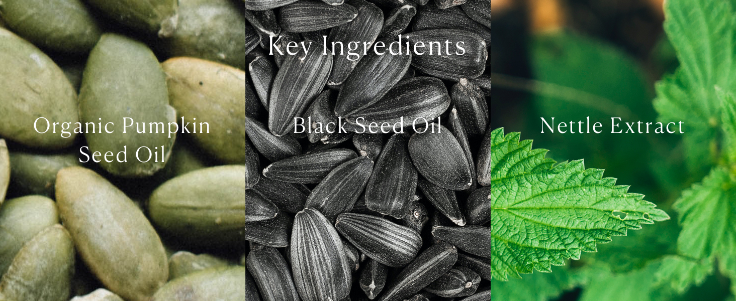 Key Ingredients