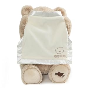 Peek a boo bear stuffed animal plush teddy baby infant game animated gund