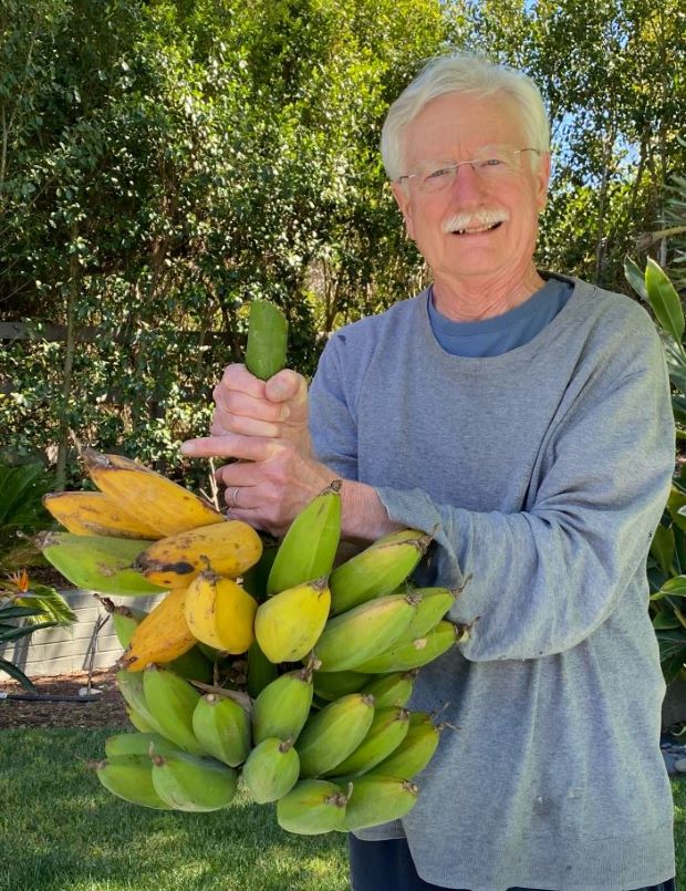 Dr. George Koob holding bananas.