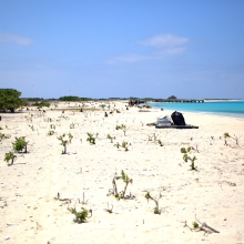 After photo of the western shore of Eastern Island. The debris was bagged up and piled up for pick-up.