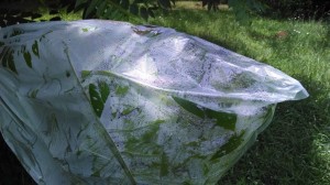 Condensation should be shaken to fall in the bottom of the bag before removing.